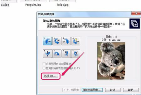 ACDSee翻转单张图像的操作教程