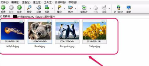 ACDSee翻转单张图像的操作教程