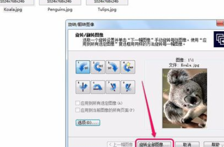 ACDSee翻转单张图像的操作教程