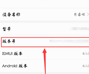 荣耀10青春版找到开发者选项的操作过程