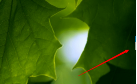 有道词典设置迷你窗口的操作教程