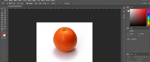 photoshop cc 2018怎么使用套索工具?photoshop cc 2018使用套索工具的方法