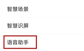 vivoy73s语音助手如何打开 vivoy73s开启语音助手方法