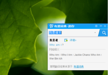 有道词典设置迷你窗口的操作教程