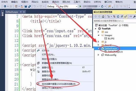 Visual Studio为网页插入全屏显示的背景图片的教程步骤