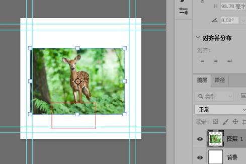 ps如何放大图片保持比例?ps放大图片保持比例详细方法