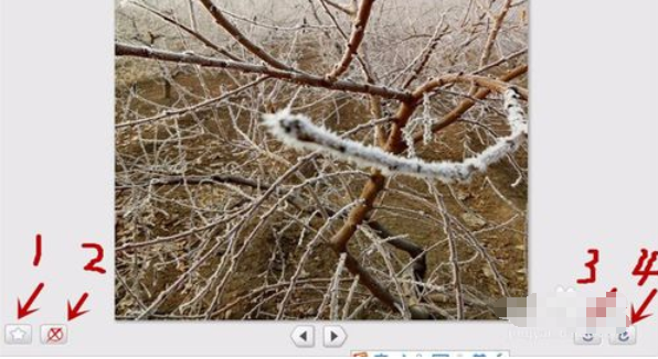 Google Picasa中使用导入来源功能的操作教程