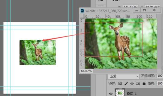 ps如何放大图片保持比例?ps放大图片保持比例详细方法