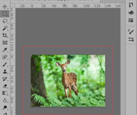 ps如何放大图片保持比例?ps放大图片保持比例详细方法