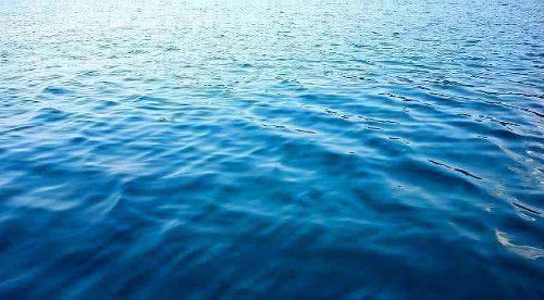 人不能直接喝海水,主要因为?支付宝蚂蚁庄园6月27日答案