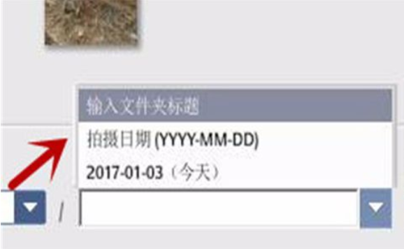 Google Picasa中使用导入来源功能的操作教程