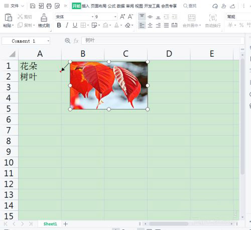 WPS表格批注怎么添加图片？WPS表格批注添加图片具体步骤