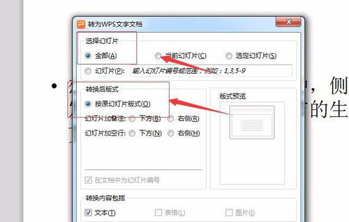 PowerPoint Viewer转成word文件的详细操作教程