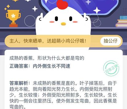 成熟的香蕉形状为什么大都是弯的？蚂蚁庄园今日课堂答题答案