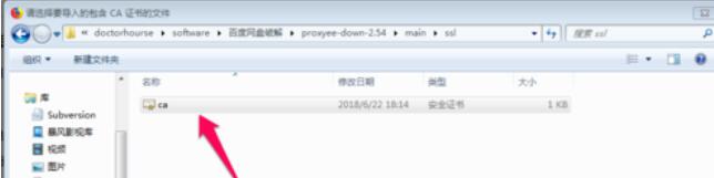 Proxyee Down安装使用具体操作流程