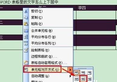 word2013表格设置文字上下居中的使用教程