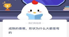 成熟的香蕉形状为什么大都是弯的？蚂蚁庄园今日课堂答题答案