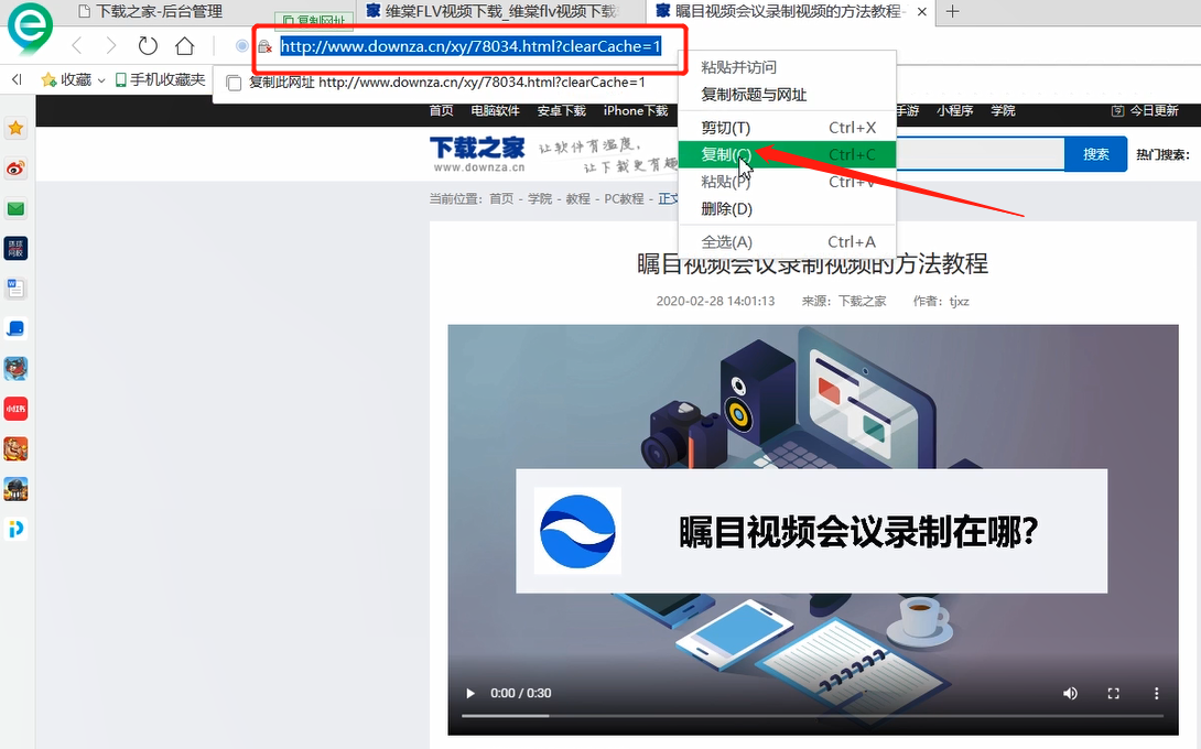 下载网页视频的方法步骤