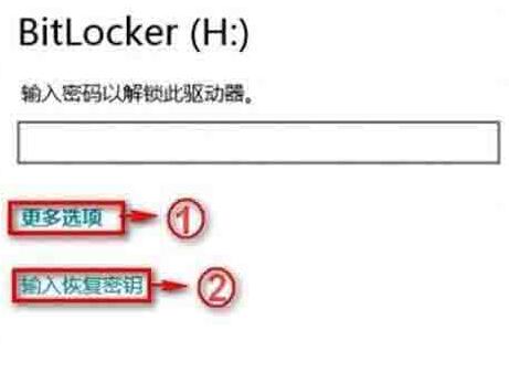WIN8系统bitlocker密码忘记的处理方法