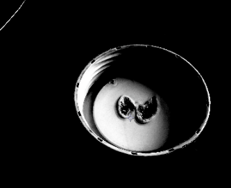 AE给素材添加发光效果的操作方法