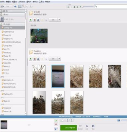 Google Picasa中使用重命名功能的操作教程