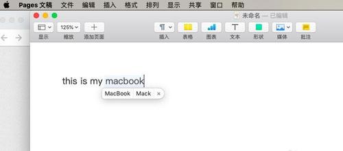 pages打开检查拼写功能的方法步骤