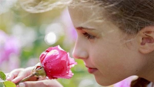 常听说视觉疲劳,那会有嗅觉疲劳吗