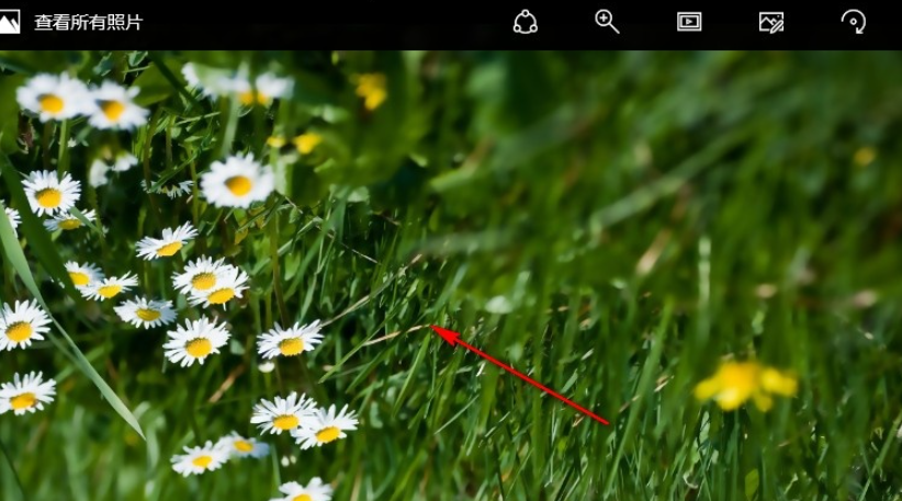 七彩色图片批量处理工具翻转图片功能在哪 七彩色图片批量处理工具翻转图片步骤介绍