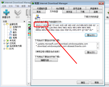 IDM下载器怎么支持自动下载文件类型？IDM下载器支持自动下载文件类型的方法
