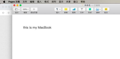 pages打开检查拼写功能的方法步骤
