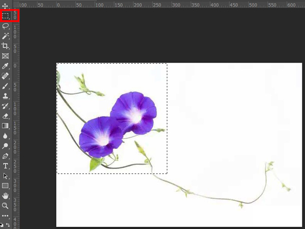 ps怎么制作图案画笔？ps制作图案画笔详细教程