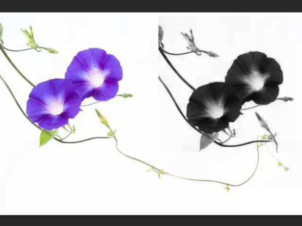 ps怎么制作图案画笔？ps制作图案画笔详细教程