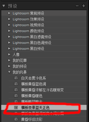 Lightroom导出保存预设的操作步骤