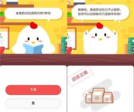 蚂蚁庄园金鱼的记忆只有7秒吗？11月15日蚂蚁庄园答案