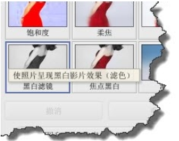 Google Picasa将彩色照片改成黑白的方法步骤