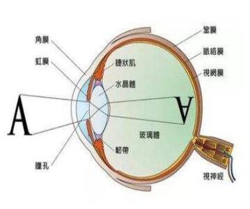 vivoX70t屏幕刷新怎么样?vivox70t屏幕刷新率介绍