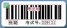 Label mx制作试卷条形码的操作流程