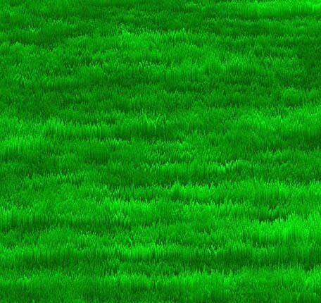 photoshop怎样制作草地平面俯视图效果 制作草地平面俯视图效果的详细步骤