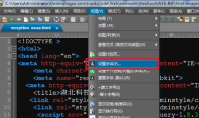UltraEdit调整字体大小的具体方法介绍