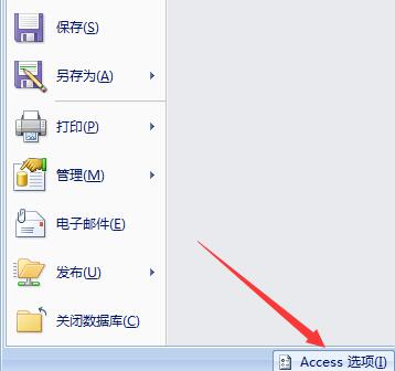 Access设置显示宏和条件列的具体方法