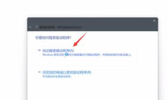 Win11键盘不能用怎么办?Win11按键失灵解决办法