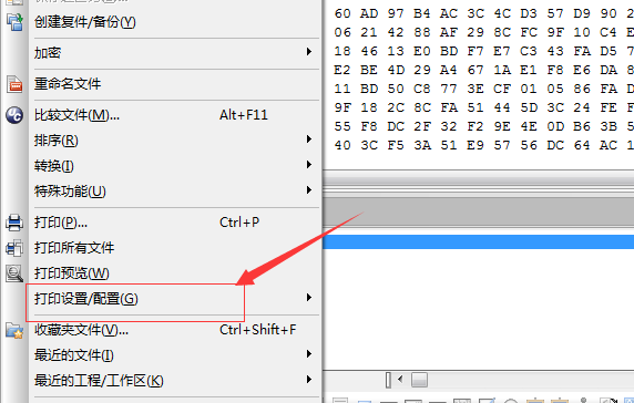 UltraEdit中页面添加页眉的详细操作步骤