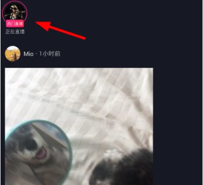 抖音加入粉丝团的操作步骤