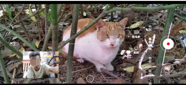 荣耀50Pro拍照怎么样?荣耀50Pro拍照功能详解