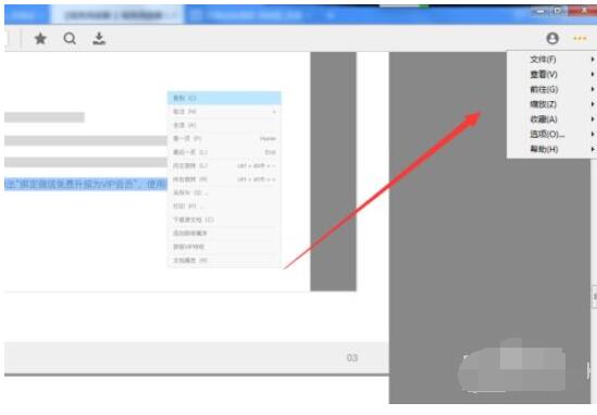 稻壳阅读器如何开启双页模式和书本模式?稻壳阅读器开启双页模式和书本模式的方法