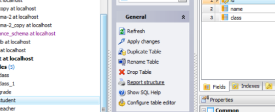 Maestro怎么获得HTML格式数据库表报告 Maestro导出HTML格式数据库表报告教程