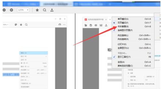 稻壳阅读器如何开启双页模式和书本模式?稻壳阅读器开启双页模式和书本模式的方法