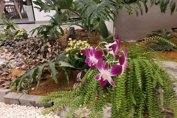 在三星a9star中开启全屏拍摄的图文教程