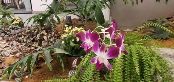 在三星a9star中开启全屏拍摄的图文教程