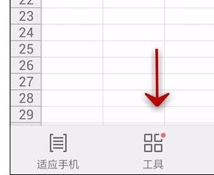 WPS Office APP查看表格信息的简单方法
